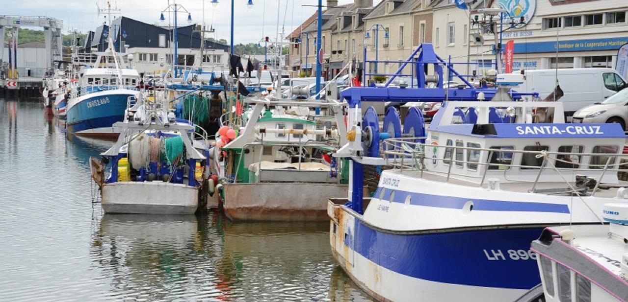 Junogite - Residence Bernieres-sur-Mer ภายนอก รูปภาพ