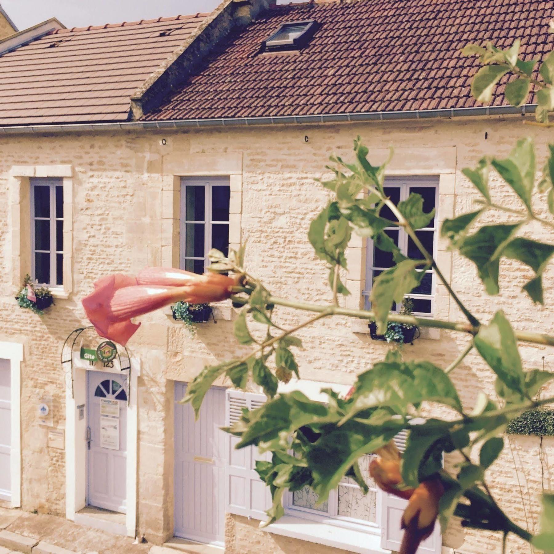 Junogite - Residence Bernieres-sur-Mer ภายนอก รูปภาพ